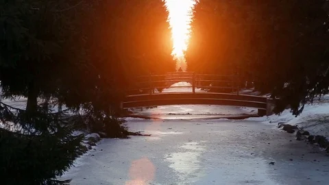 Catherine Park in Pushkin in winter Stock Footage 84209346