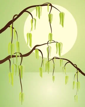 Catkins Illustrazione stock