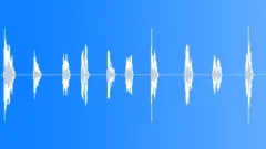 CatMeow Sound Effect