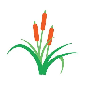 Catnip Icon Vector Illustration Stock Illustration