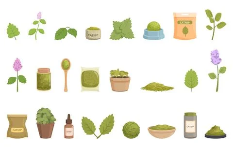 Catnip icons set cartoon vector. Nature plant Stock Illustration