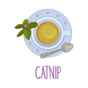 Catnip Tea Served on Saucer Vector Illustration Stock Illustration
