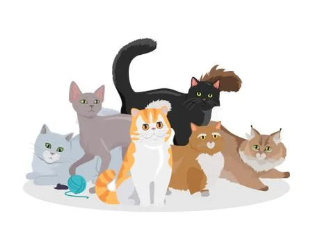 Cats Breeds Flat Vector Web Banner 스톡 일러스트