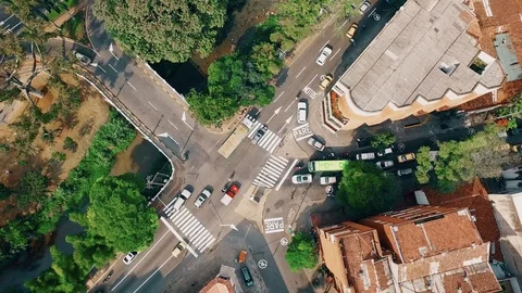 Cats Cali Stock Footage 83468647