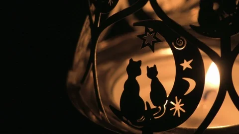 Cats on Candle Flame Video stock 86463183