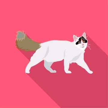 Cats of different breeds with long shadow Stock Illustration