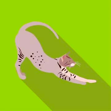 Cats of different breeds with long shadow Stock Illustration