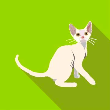 Cats of different breeds with long shadow Stock Illustration