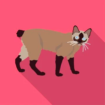 Cats of different breeds with long shadow Stock Illustration
