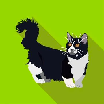 Cats of different breeds with long shadow Stock Illustration