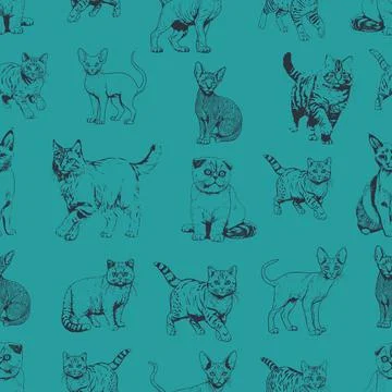 Cats, different breeds, seamless pattern Stock Illustration