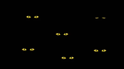 Cats Eyes - In the darkness Stock Footage 52934060