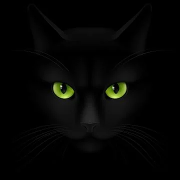 Cats eyes Stock Illustration