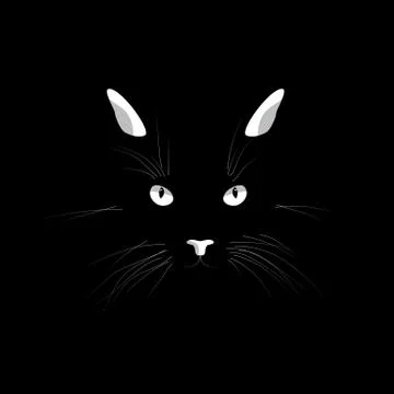 Cat's face in the dark. Vector cat's eyes, ears, nose and whiskers isolated on Illustrazione stock