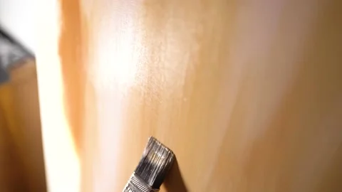 Cats focus on brush movements while female artist paints painting Stock Footage 180871484
