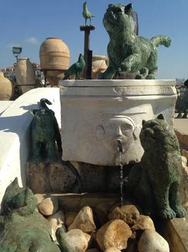 Cat's fontane Fotos de archivo