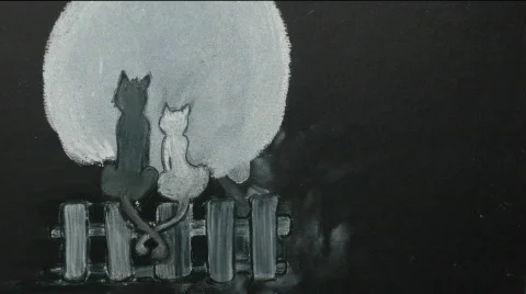  Cats Stock Footage 645538