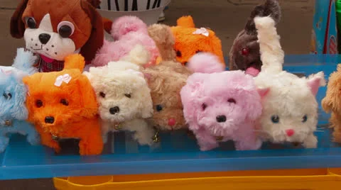 Cats Stock Footage 24754941