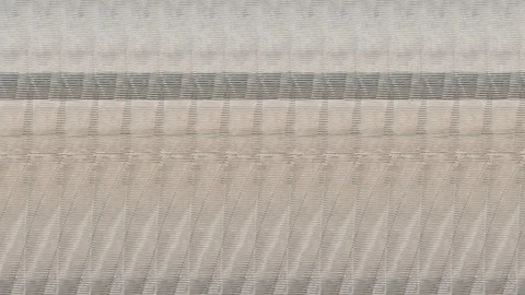 Cats Stock Footage 121685890