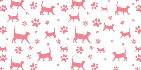 Cats foottrace pattern pink Stock-Footage 169053060