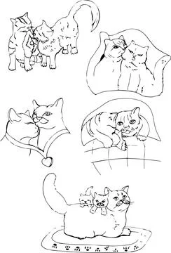 Cats in graphic Stock Illustration