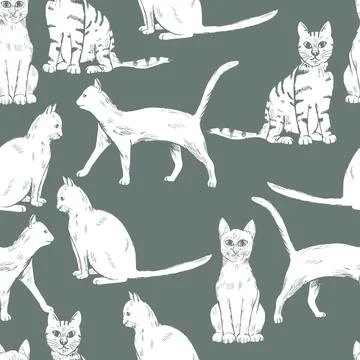 Cats on grey background. Vector illustration. Stock Illustration