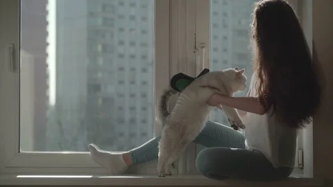 Cat's hair is a bright example of allergens. Concept of cat hair as a source of Stock-Footage 73845237