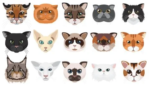Cats heads faces emoticons vector illustration set. Stock Illustration