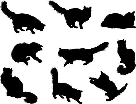 Cats Stock Illustration