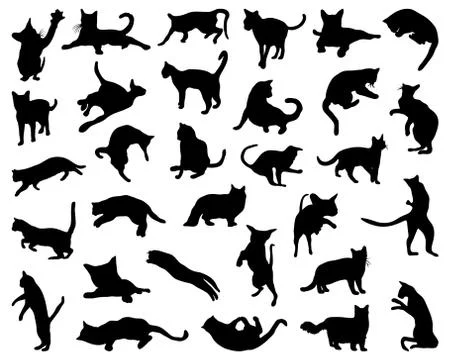 Cats Stock Illustration
