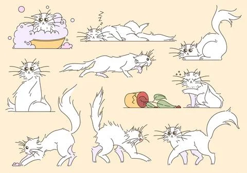 Cats Illustrazione stock