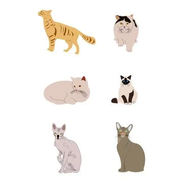 Cats isolated on white 스톡 일러스트