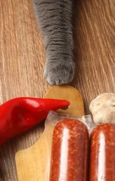 Cat's paw Stock Photos
