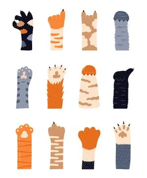 Cats paw vector set. Pet feet in hand drawn style. Paws of fluffy, pretty, fr Illustrazione stock