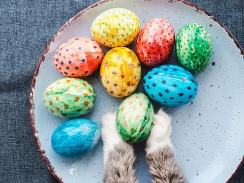 Cat's paws and plate with Easter eggs Stock Photos