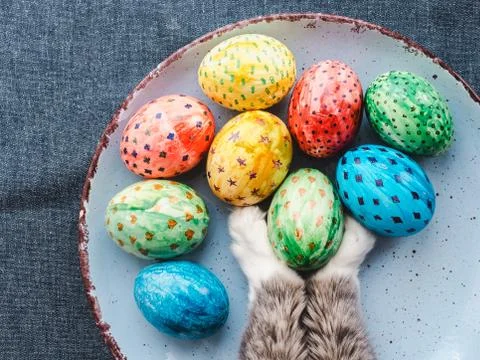 Cat's paws and plate with Easter eggs Stock Photos
