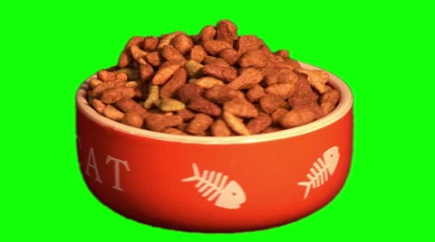 Cat’s plate with dry feed 02 Stock Footage 46565211