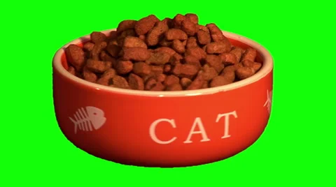Cat’s plate with dry feed Stock Footage 46564876