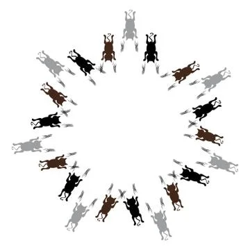 Cats in ring on white background. Vector illustration. Illustrazione stock