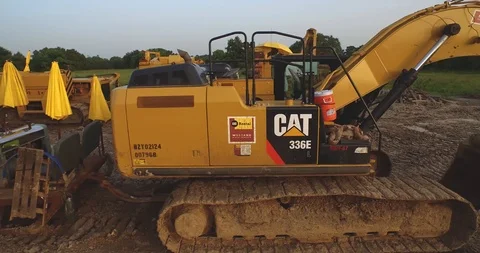 Cats in a Row Stock Footage 124191255