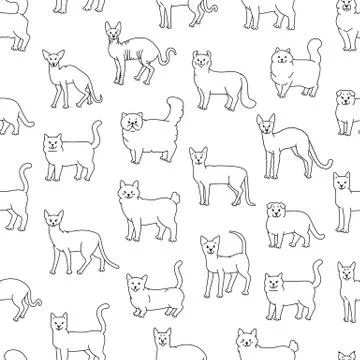 Cats seamless pattern vector black white domestic pedigree pets laterally Stock Illustration