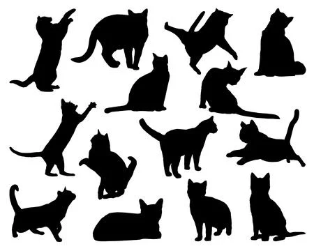 CATS SILHOUETTE VECTOR ART Stock Illustration