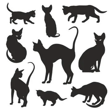 Cats silhouettes graphic vector set Stock Illustration