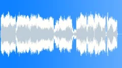 Cats Tomcats FightSound Effect