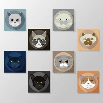 Cats vector Stock Illustration