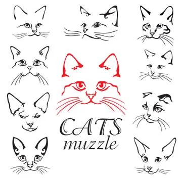 Cats vector set Stock Illustration