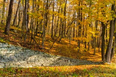 Catskills stone wall Stock Photos