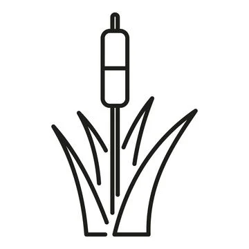 Cattail broadleaf marsh plant line icon concept Stock Illustration