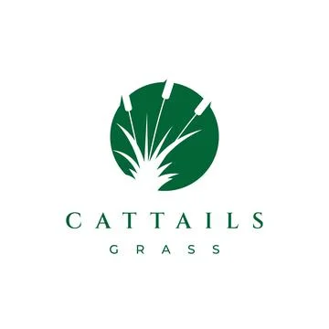 Cattail grass logo design vector illustration Stock Illustration