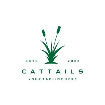Cattail grass logo design vector illustration Stock Illustration